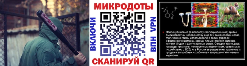 Купить  Велиж  Галлюциногенные грибы Cubensis 